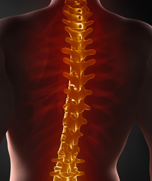 mal de dos et kiné à 1190 bruxelles forest